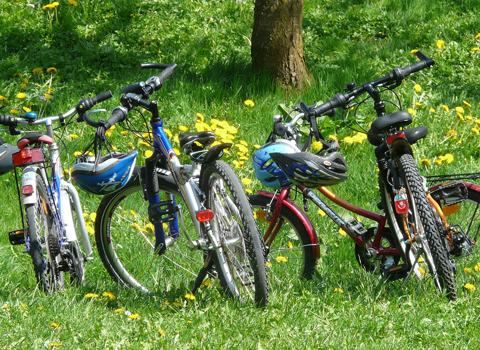 Auf dem Donauradweg in Österreich